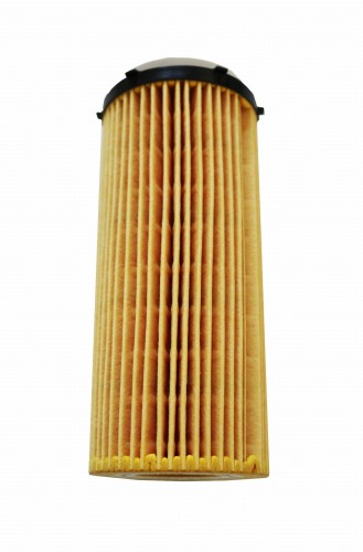 p709.jpg